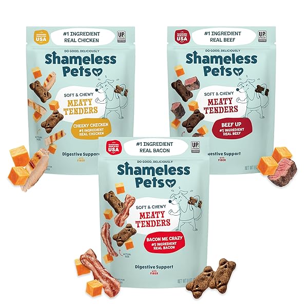 SHAMELESS PETS SOFT & CHEWY DOG TREATS, MEATY...