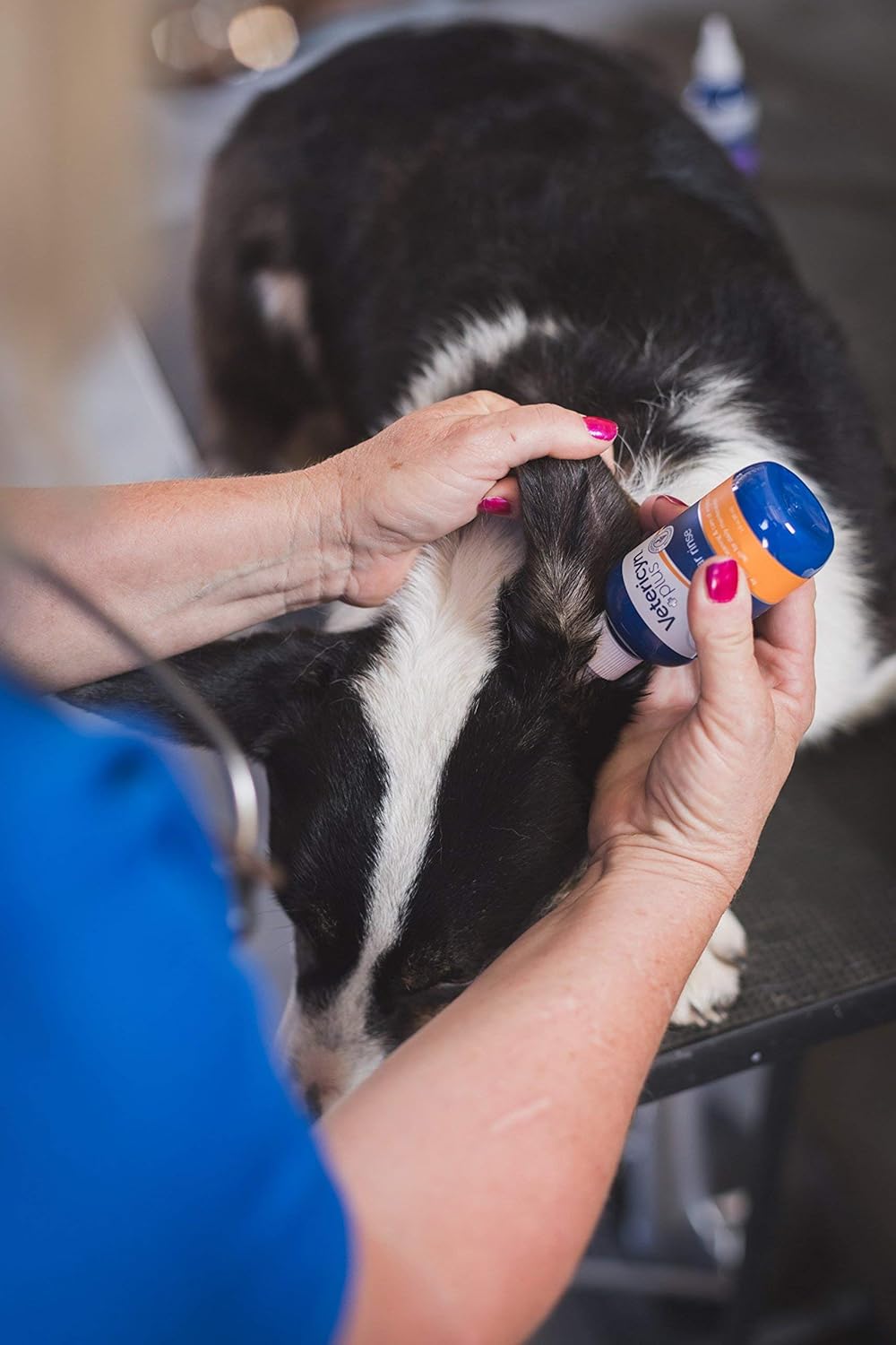Vetericyn Plus Ear Rinse. Cleaning Solution for Dogs, Cats and All Animals. Alleviate Irritation and Remove Odors and Foreign Materials Safely and Pain-Free. 3 oz. (Packaging/Bottle Color May Vary) : Pet Supplies