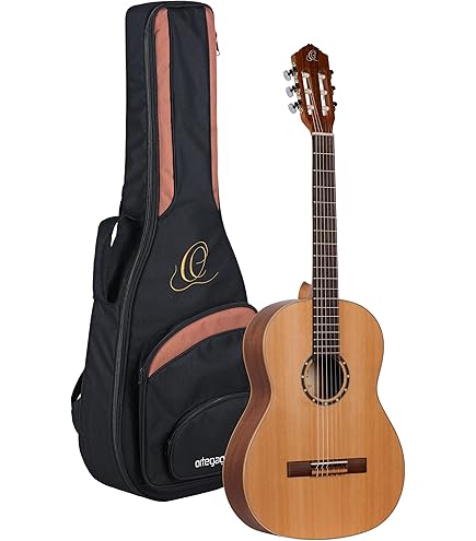 ORTEGA GUITAR クラシックギター Amazon | ORTEGA オルテガ クラシックギター THE PRIVATE ROOM