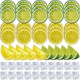 ROYHOO 60PCS Artificial Lemon Slices Blocks and Fake Ice Cubes