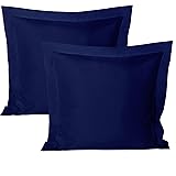 BEDSUM 2 Pcs Microfiber European Pillow