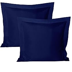 BEDSUM 2 Pcs Microfiber European Pillow