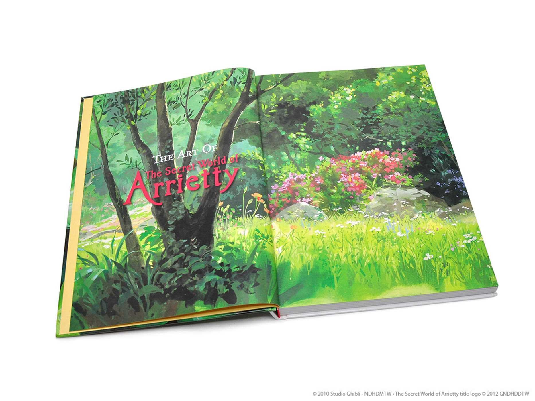 Art of The Secret World of Arrietty (The Art of The Secret World of Arrietty)