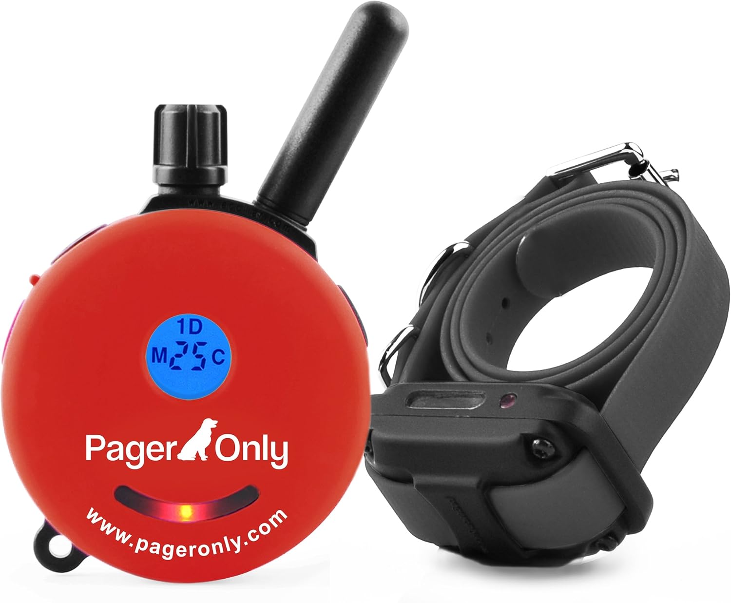 can cats sense when your pregnant