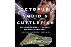 Octopus, Squid & Cuttlefish: A Visual, Scientific Guide to the Oceans' Most Advanced Invertebrates
