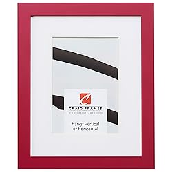 Craig Frames Confetti, 17 x 22 Inch Modern Pink