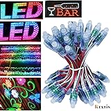 Rextin WS2811 Pixels Digital Addressable LED String Lights Waterproof RGB Full Color 12mm DC 12V (DC12V 50pcs)