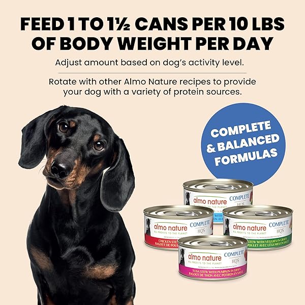 ALMO NATURE HQS COMPLETE WET DOG FOOD TUNA STEW WITH PUMPKIN IN GRAVY 5.5 OZ, PACK OF 12