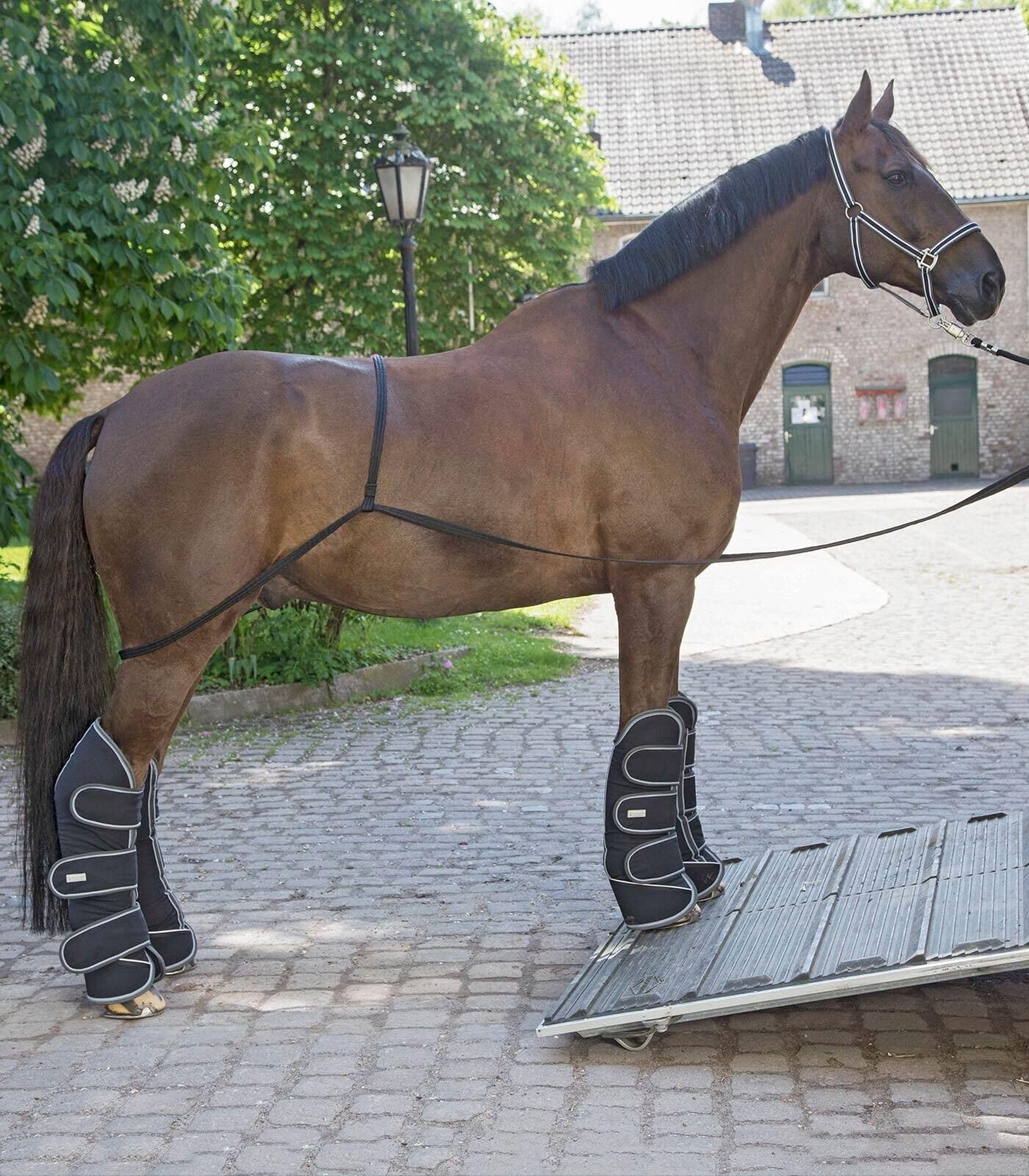 Equipride Horse Shipping aid Transport Aid Ideal for Loading Shipping Horse in Trailors