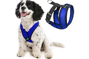 Gooby Comfort X Head In Harness - Blue, Medium - No Pull Small Dog Harness, Patented Choke-Free X Frame - Perfect on the Go Dog Harness for Medium Dogs No Pull or Small Dogs for Indoor and Outdoor Use