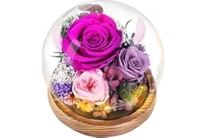 Demolike Gifts for Women Mom Grandma, Preserved Flowers in Glass Dome(Purple)