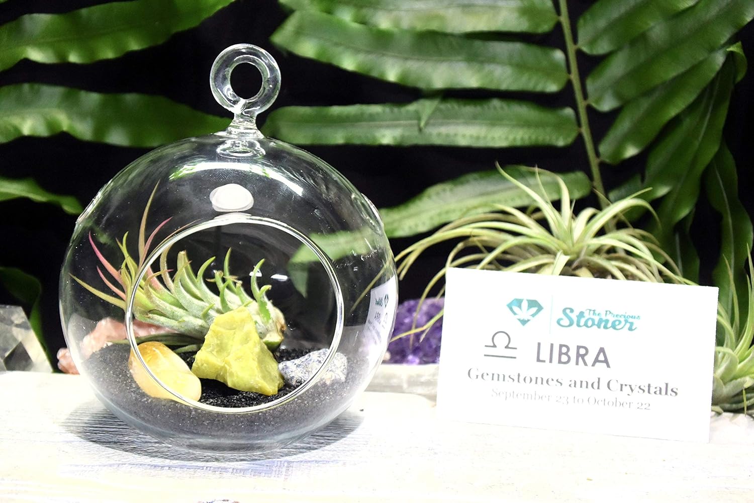 Libra Zodaic Crystals Tillandsia Terrarium