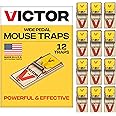 Victor M035-12 Plastic Pedal Easy Set Sustainably Sourced FSC Wood Snap Mouse Trap - 12 Traps