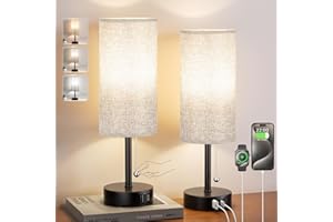 FENMZEE Grey Bedside Lamps for Bedroom Set of 2 - Nightstand Table Lamp with USB A + C Charging Port, 3 Color Temperatures Pull Chain Night Stand Light, Side Table Desk Reading Lamp for Living Room/Dorm Room