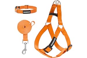 IPRAVOCI No Pull Dog Harness - Adjustable Step-in Harness & Leash Set for Small, Medium, Large Dogs - Escape Proof Soft Pet Harness for Walking, Training, Hiking, Outdoor Activities