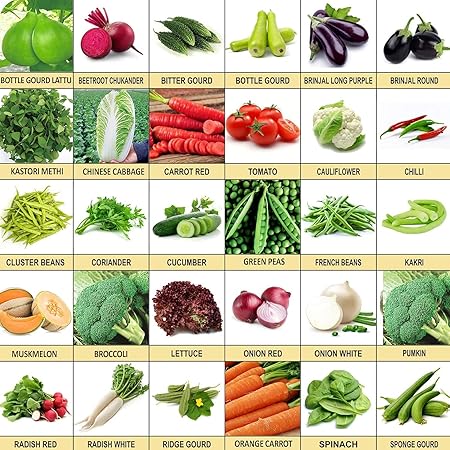 Kraft Seeds Vegetable Seeds 30 Varieties Of Seeds Tested And Packed For Terrace and Kitchen Gardening