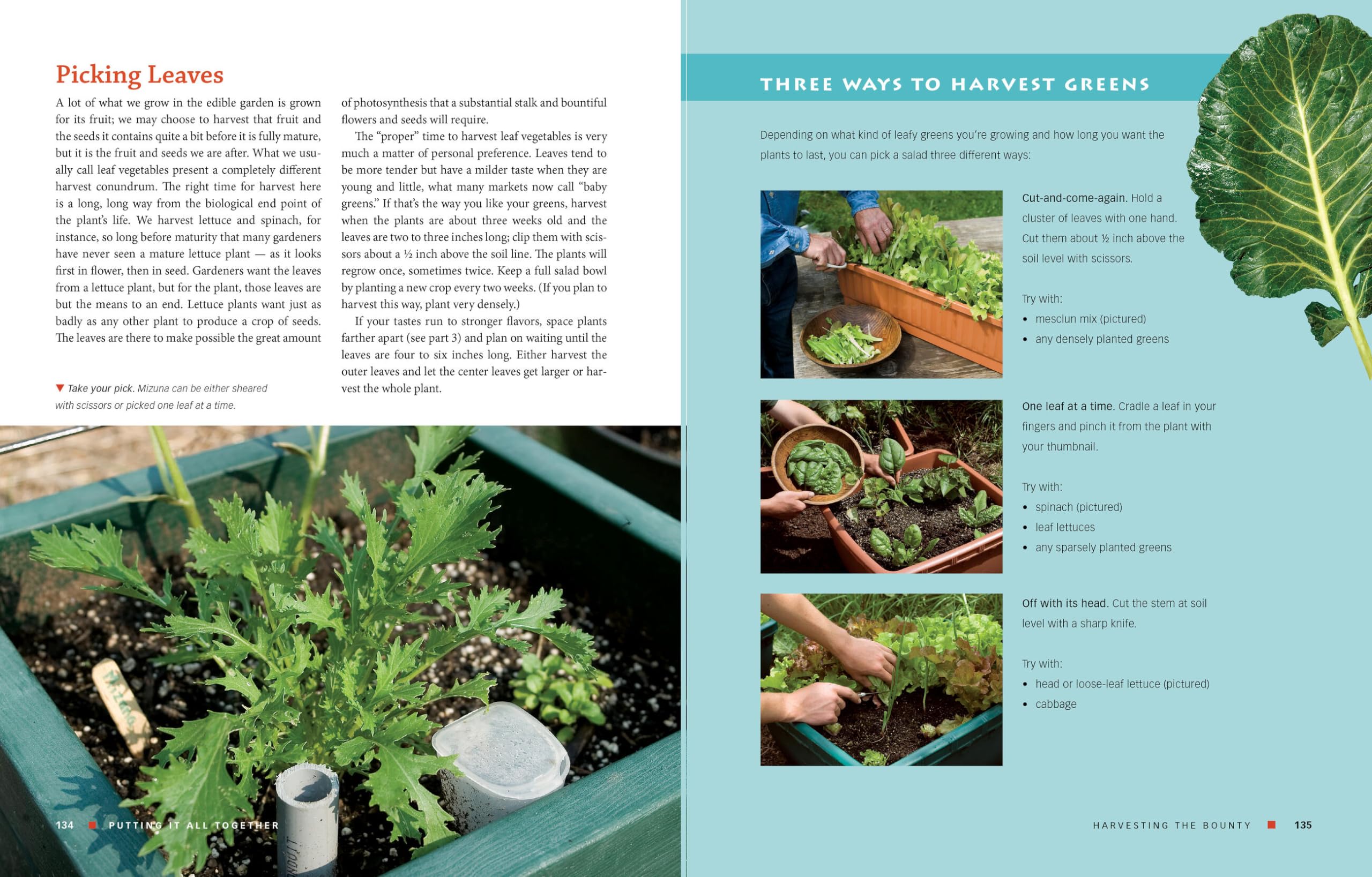 The Vegetable Gardener's Container Bible: How to Grow a Bounty of Food in Pots, Tubs, and Other Containers