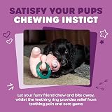 Webbox Pinky the Pig Plush Squeaky Dog Toy with Teething Ring view 3