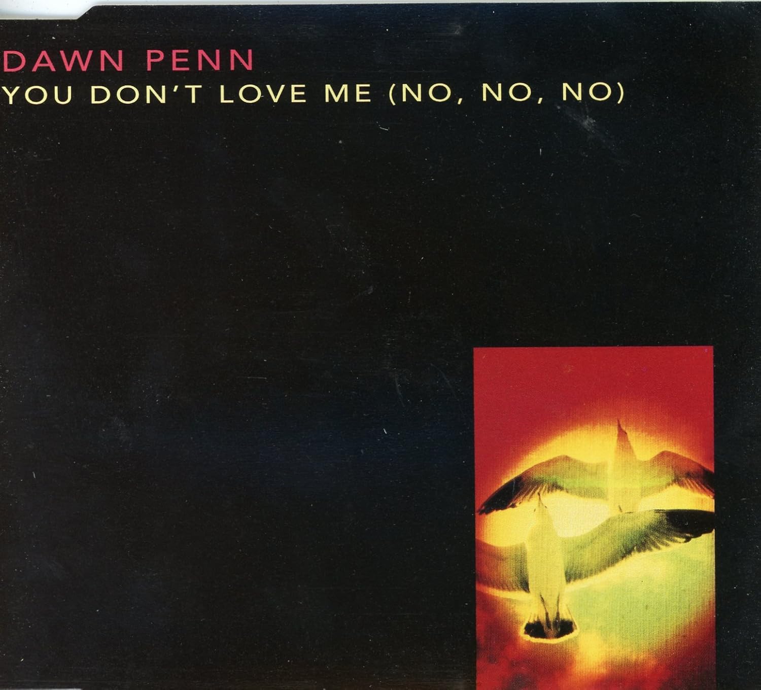 You Don't Love Me Dawn Penn