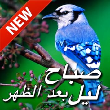 Amazon Com Arabic Good Morning Afternoon Good Night Wishes Love