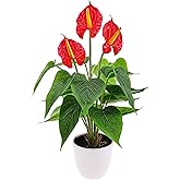 Folmywy Artificial Flower Plants Anthurium 15 Inch Small Faux Tropical Flowers Red Fake Potted Plant with Pot Bonsai for Home Living Room Bathroom Office Indoor Outdoor Occasions Decor