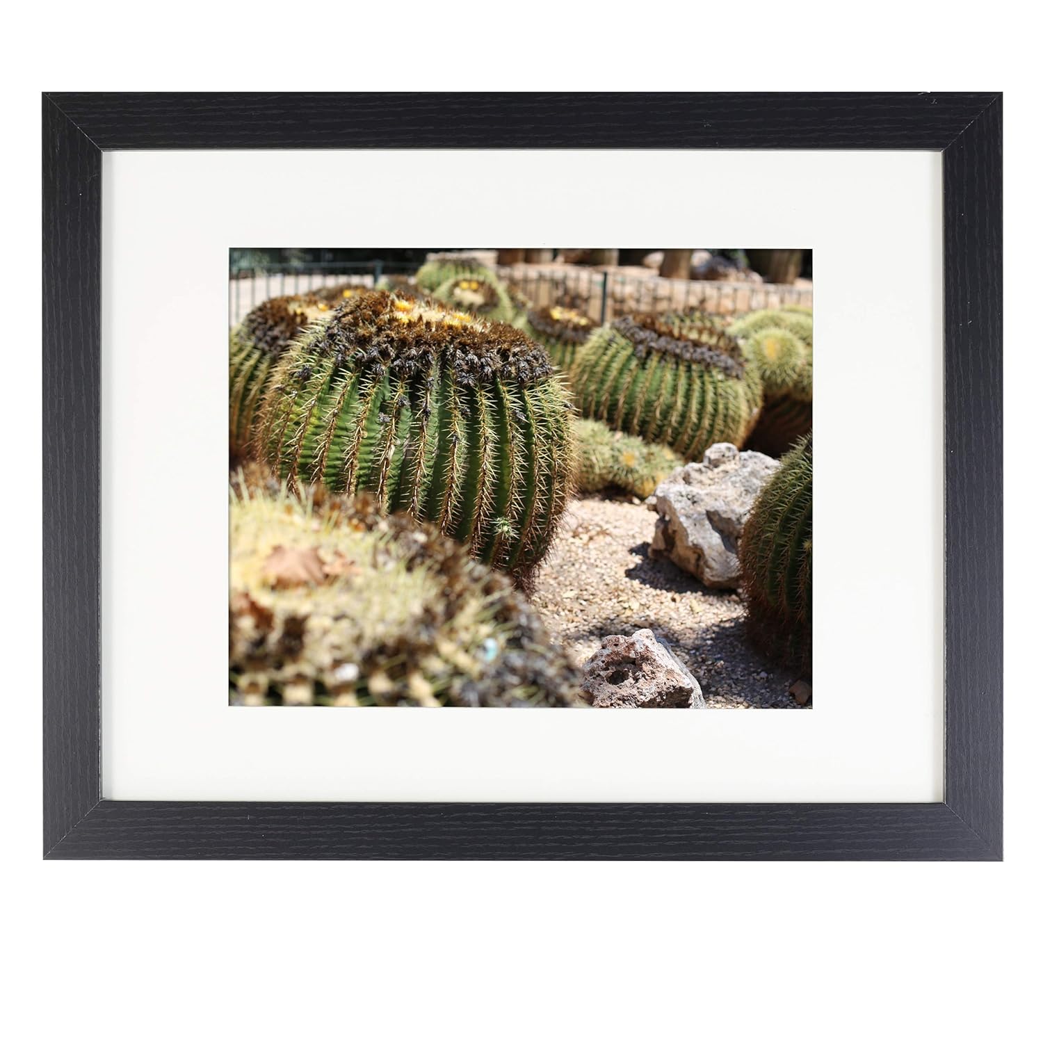 The 10 Best Studio Decor Home Frame 11X14