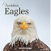 Audubon Eagles Mini Wall Calendar 2026