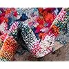 Product Photo 8