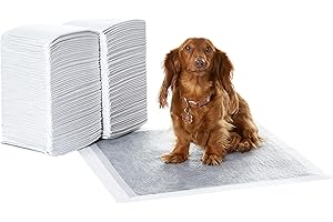 鶹 Basics Dog and Puppy Pee Pads with 5-Layer Leak-Proof Design and Super Absorbent Surface for Potty Training, Odor-Cont