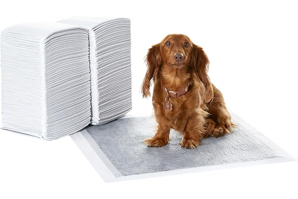 Amazon Basics Dog and Puppy Pee Pads with 5-Layer Leak-Proof Design and Super Absorbent Surface for Potty Training, Odor-Cont