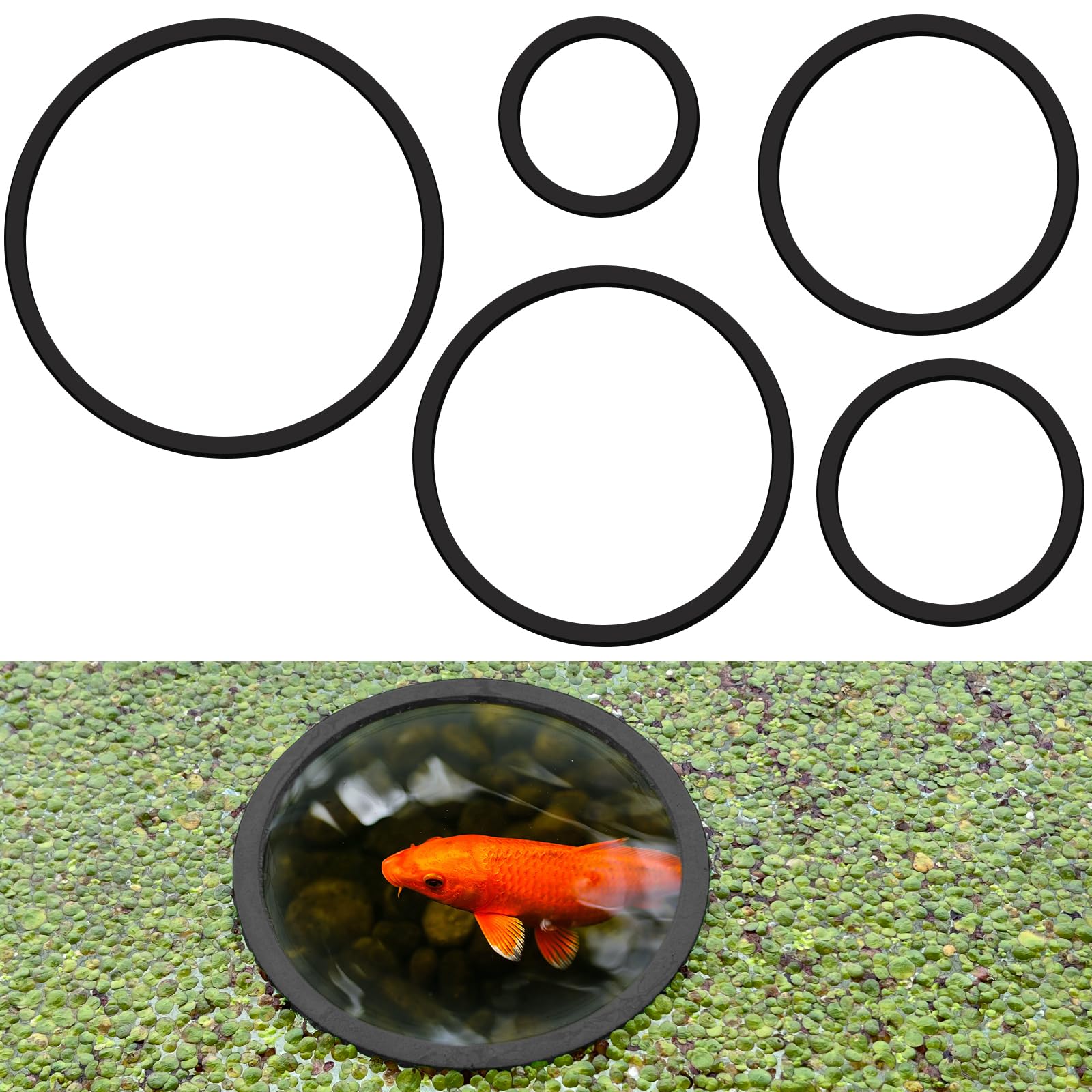 Photo 1 of *** 3 PCS *** SANJHFF 5 Pcs Aquarium Floating Plant Corral - 5 Sizes of Floating Plant Ring, Fish Feeding Ring (Black)