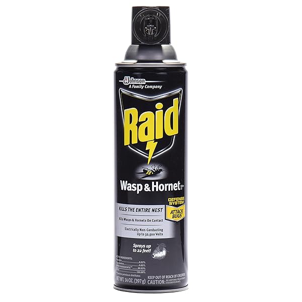 RAID WASP HORNET KILLER SPRAY (14 OUNCE (PACK OF 1))