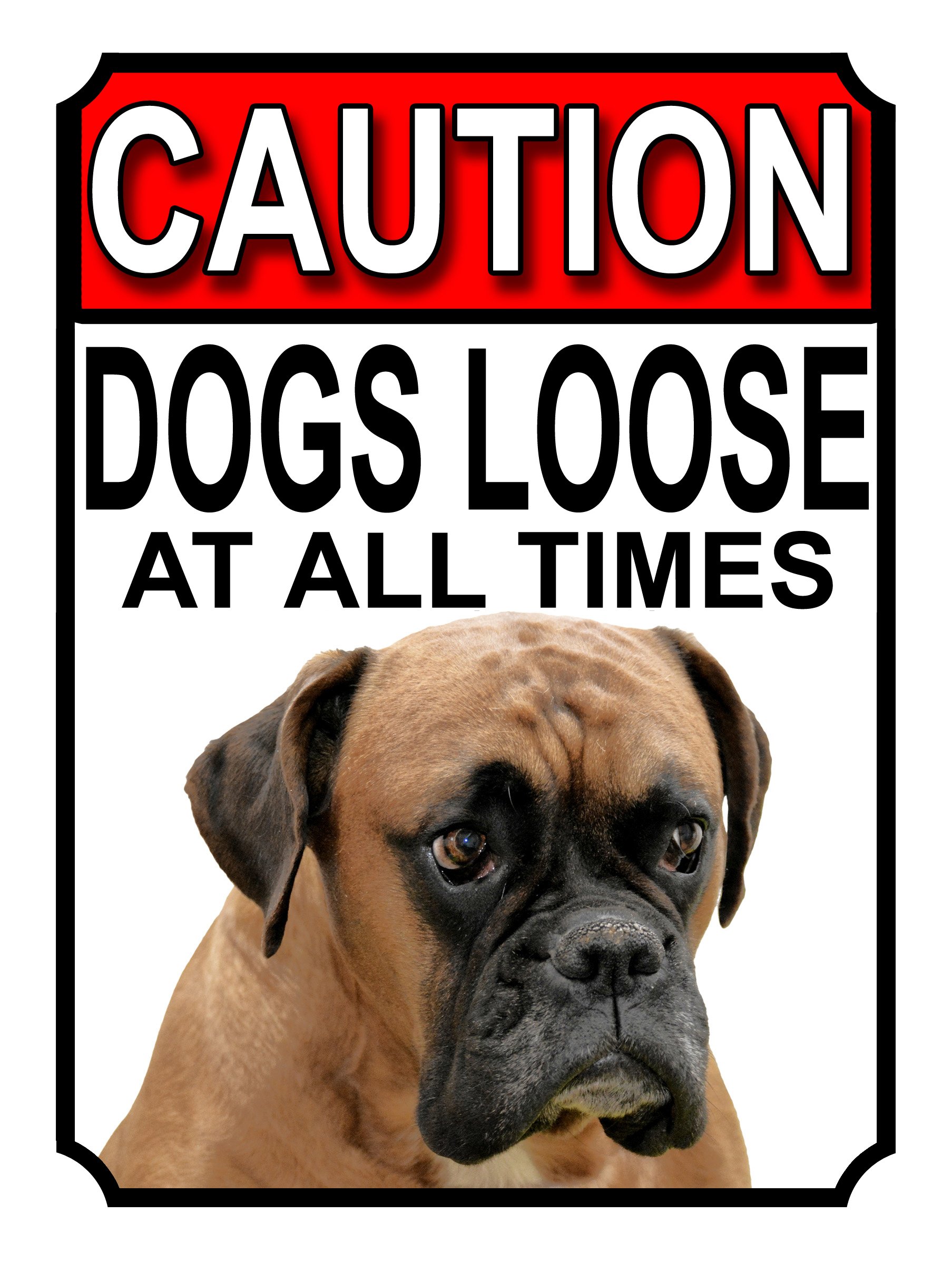 Shawprint Limited CAUTION DOGS LOOSE AT ALL TIMES METAL GATE SIGN BOXER 200MM X 150MM (1182H1) — image 1
