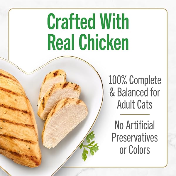 PURINA FANCY FEAST PETITES GRILLED CHICKEN ENTRÉE WITH RICE IN GRAVY GOURMET WET CAT FOOD – (PACK OF 12) 2.8 OZ. TUBS