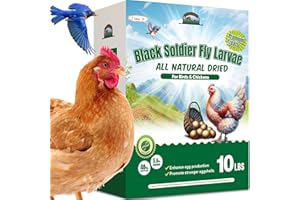 HATORTOP 10LB Dried Black Soldier Fly Larvae for Chickens - Non-GMO Insect Larvae Treats More Calcium Than Mealworms, High Protein Chicken Feed for Backyard Poultry - BSFL, Bird Food, Chicken Worms