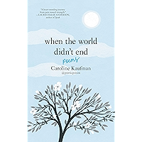 When the World Didn't End: Poems book cover