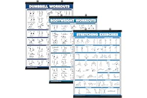 Palace Learning QuickFit 3 Pack - Dumbbell Workouts + Bodyweight Exercises + Stretching Routine Poster Set - Set of 3 Workout