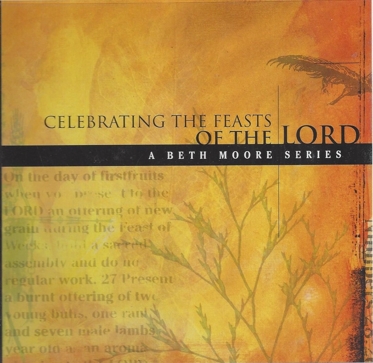 Celebrating The Feasts Of The Lord Beth Moore Amazoncom - 