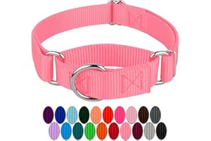 COUNTRY BROOK DESIGN Country Brook Petz Martingale Dog Collar - Heavy-Duty Training Collar with No Buckle - Service Dog Collar for All Pups - Vibrant, Colorful Collection (Pink, 1 Inch, Medium)