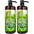 Dead Sea Collection Tea Tree Hand Soap - Pack Of 2 (33.8 Fl. Oz Each)