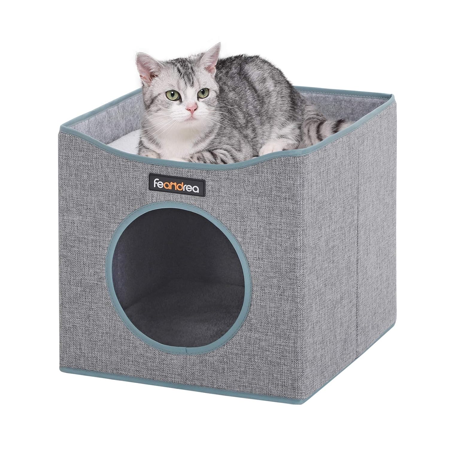 cat scratch resistant fabric