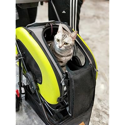 cat carriers at target