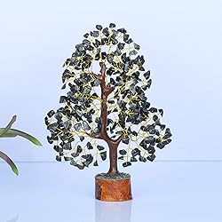 YUVDIPR Black Tourmaline Tree of Life of Life