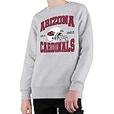 Junk Food Clothing x NFL - Team Helmet - Kids Crewneck Sweatshirt for Boys and Girls - Officially Licensed NFL Apparel