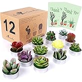 AIXIANG 12Pcs Cactus Candles Succulent Ornaments Candles, Wedding Favors for Guests, Bridal Shower Favors, Baby Shower Favors, Christmas Gifts