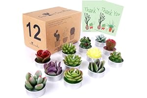 AIXIANG 12Pcs Cactus Candles Succulent Ornaments Candles, Wedding Favors for Guests, Bridal Shower Favors, Baby Shower Favors