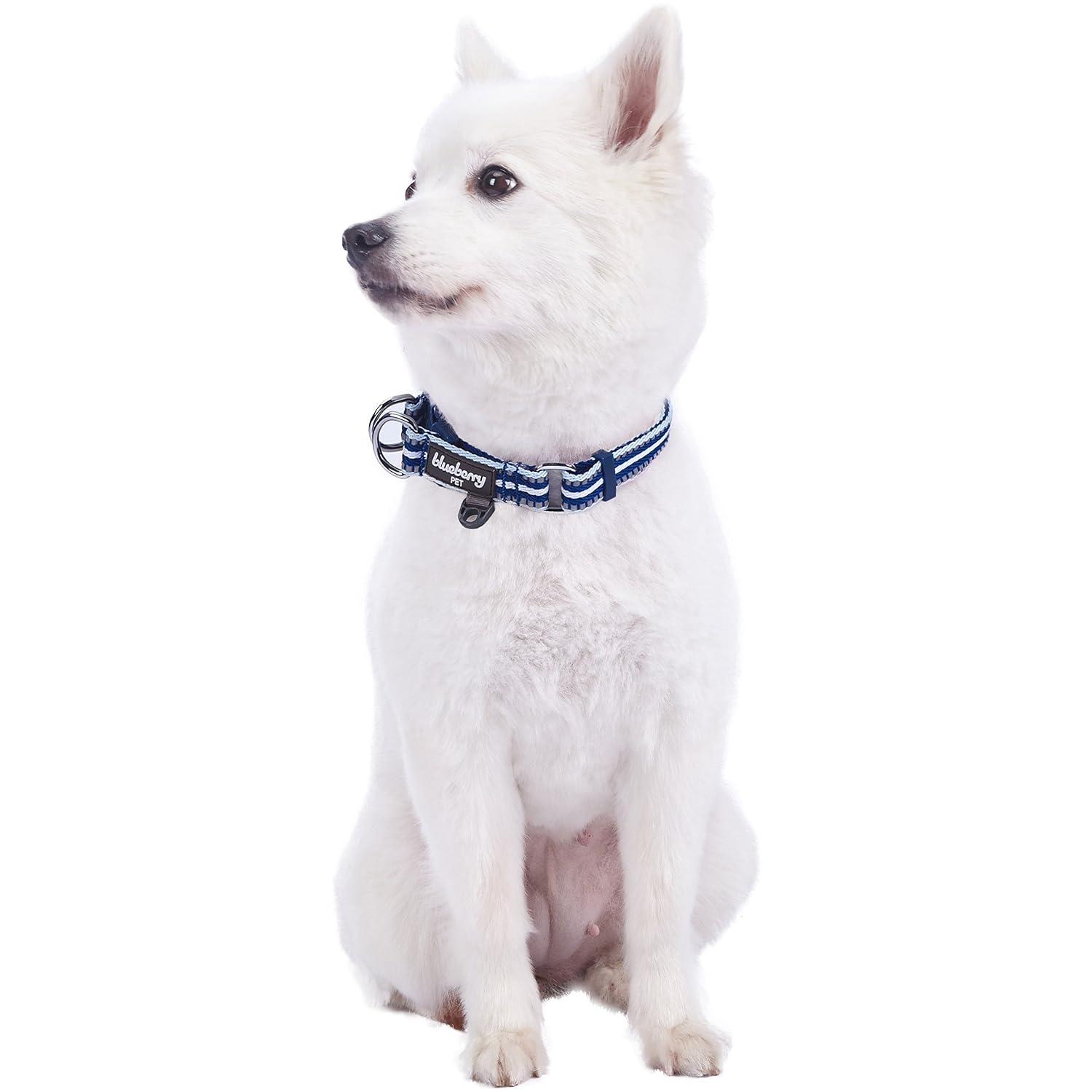大型犬 2 5cm グレーとホワイト マルチカラーストライプ首輪 Pet Blueberry B0791cm2qc White And 37 50cm Blue X 2cm 中型犬 37 50cm X 2cm 中型犬 White And Blue ベーシック首輪 お買得 Cafetamarinds Com