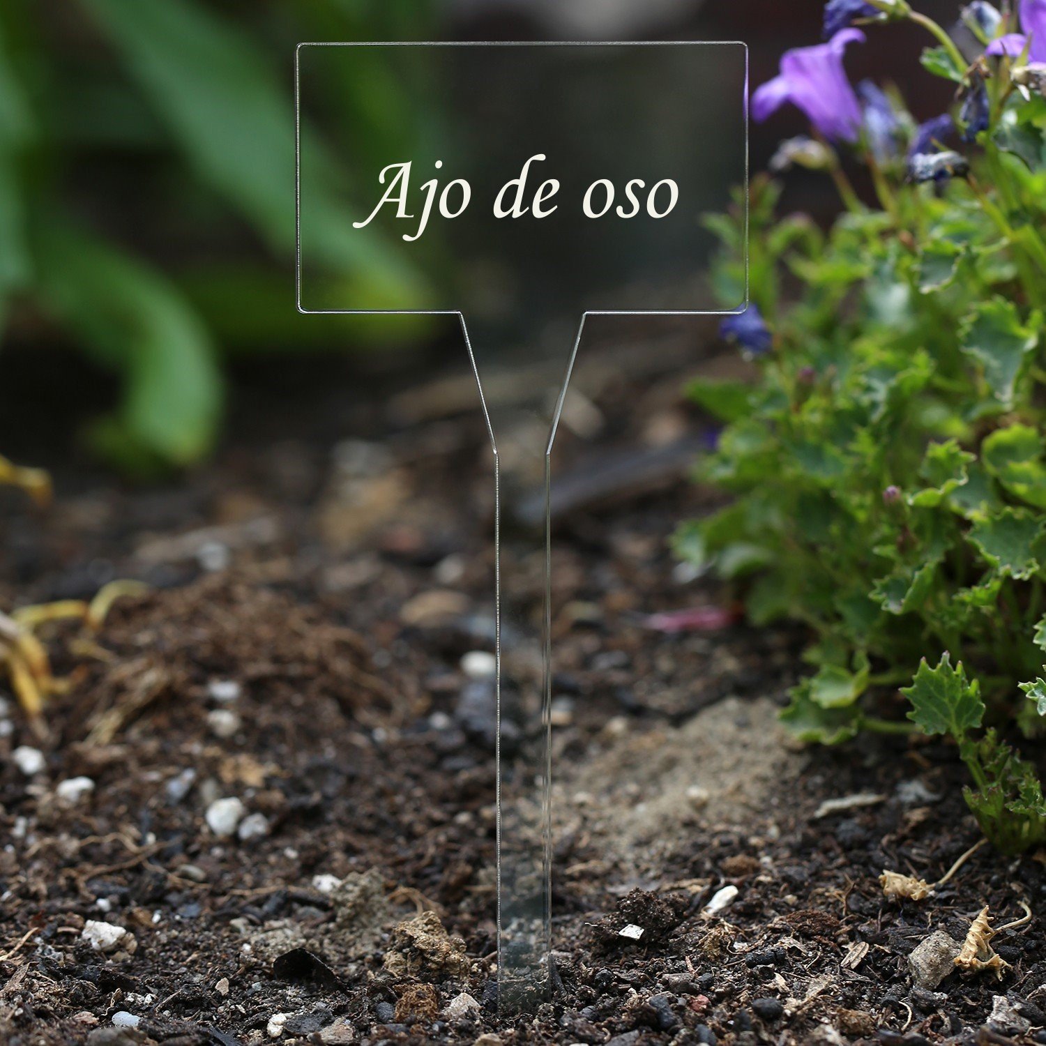Acrí lico plantar signos cuadrado, X-tra (N) sparente, claro ...
