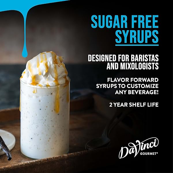 DAVINCI GOURMET SUGAR-FREE GINGERBREAD SYRUP, 25.4 FLUID OUNCES (PACK OF 1)