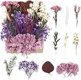 RUGBOL Dried Purple Lavender Flowers - Low Maintenance Floral Decor view 1